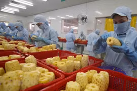 Eight-month veggie, fruit exports up 57.5%