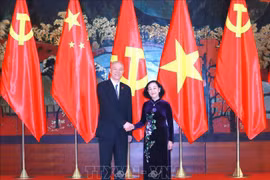 Vietnam gives top priority to developing ties with China: Party official