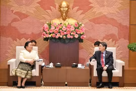 NA Vice Chairman receives Vientiane leader
