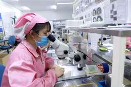 Vietnam sees improvements in FDI attraction: investor