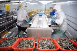 Int’l organisations: public investment to propel Vietnam’s long-term growth