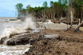 Salt water intrusion to Mekong estuaries forecast to increase in March