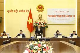 NA Law Committee holds 13th plenary session