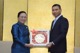 Da Nang’s scholarships for Laos make relations’ highlight: diplomat