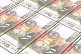 Laos rolls out new credit policy to motivate economic growth