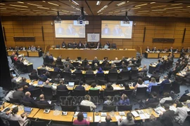 Vietnam attends IAEA Board of Governors meeting