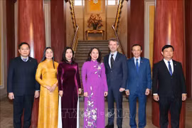 Vice President meets with Denmark’s Crown Prince