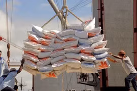 Indonesia plans to import additional 2 million tonnes of rice in 2024