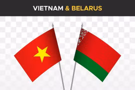 Potential remains for Vietnam-Belarus cooperation: expert
