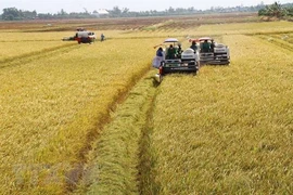 Seminar seeks opportunities for Vietnam’s commodity trade expansion to Northeast Asia