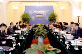 Vietnamese, Chinese officials talk territorial, border issues