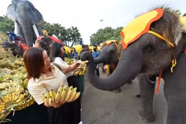 Thailand plans more visa waivers to attract European tourists
