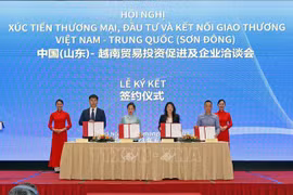 Conference promotes trade-investment between Vietnam and Chinese locality