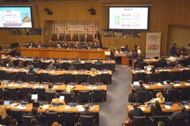 Vietnam attends UN High-level Political Forum on Sustainable Development