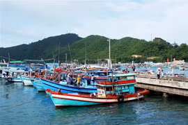 Phu Quoc ramps up efforts against IUU fishing