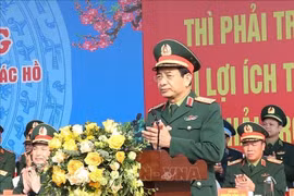 Defence Ministry launches New Year tree planting festival