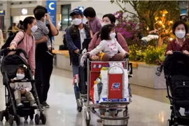 China's resumption of group tours to Vietnam welcomed by people, travel firms