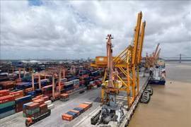 Vietnamese firms advised to be cautious to avoid fraud in international trade