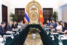 Vietnam, Thailand hold ninth political consultation in Hanoi