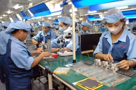 Vietnam likely to be among fastest-growing economies in next decade: East Asia Forum 