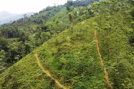 Vietnam, WB enhance partnership in climate change response for green growth