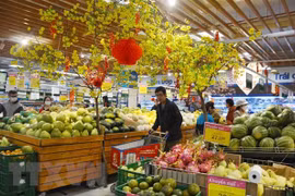 Hanoi’s January CPI moderately increases