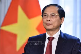 Joint press communique of Foreign Ministers of Vietnam, Malaysia on diplomatic relations anniversary