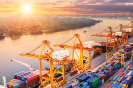 Trade ministry supports businesses to boost exports to China