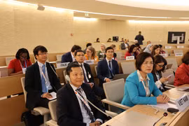 Ambassador stresses Vietnam’s policy on promoting, protecting human rights for all