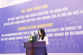 Workshop on carbon tax to mitigate CBAM for exported goods held