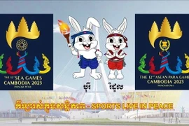 Vietnamese football stars unable to join SEA Games 32 due to new rules