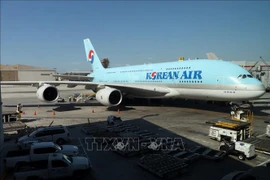 Korean Air allowed to fly to Lam Dong