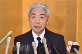 Strengthening Vietnam - Japan extensive strategic partnership
