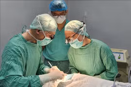 Thua Thien-Hue: cleft palate children offered free surgery