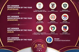 Vietnam Football Federation nominated for AFC Diamond of Asia award