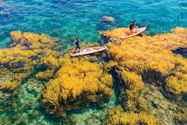 Sea and island tourism a ‘gold mine’ that needs to be tapped fully