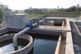 Rural households using clean water in Mekong Delta double after five years