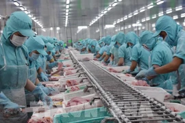 2023 a good year for Vietnam - US relations: Ambassador