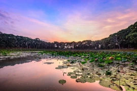 Two more typical tourism sites in Mekong Delta recognised