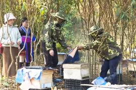 Japan helps promote economic empowerment for Lai Chau’s young ethnic people
