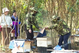 Japan helps promote economic empowerment for Lai Chau’s young ethnic people