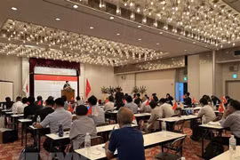 Seminar talks Vietnam-Japan labour cooperation potential