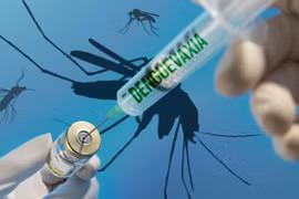 Vietnam to join Japanese dengue vaccine trials