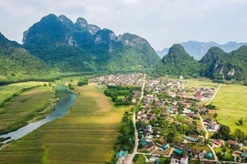 Vietnamese village honoured as world's Best Tourism Village