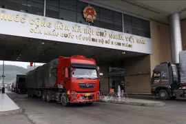 Exports-imports via Lao Cai border gate thrive in Q1