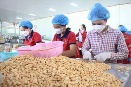 Ample room remains for Vietnam-Iran cooperation