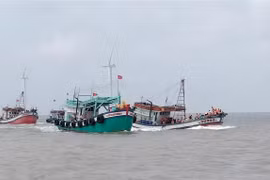 Bac Lieu fishermen’s awareness of law implementation improves