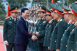 State President commends performance by defence intelligence brigade