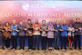 Countries pledge to contribute to success of AMM-56 related meetings