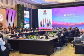 Peace, security, stability – prerequisite for prosperity: Vietnamese FM